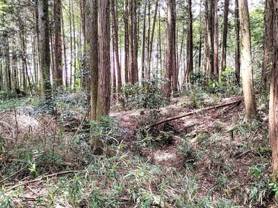 土橋のかかった空堀