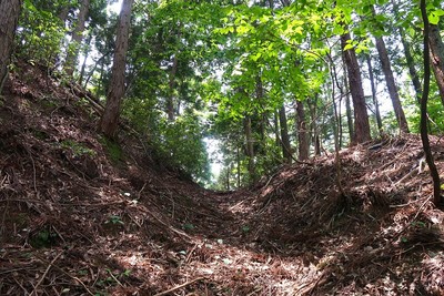 大塩城 城域北の堀切