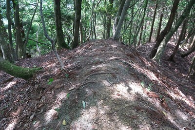 大塩城 土塁