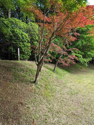 本丸土塁内の南側