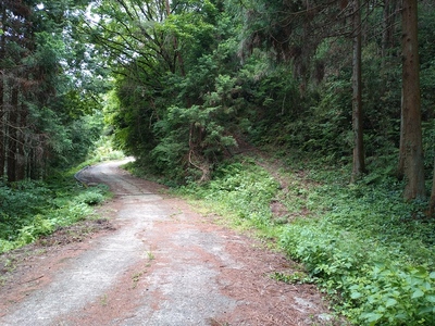 登城口（右側の山道）