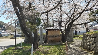 城址碑と桜