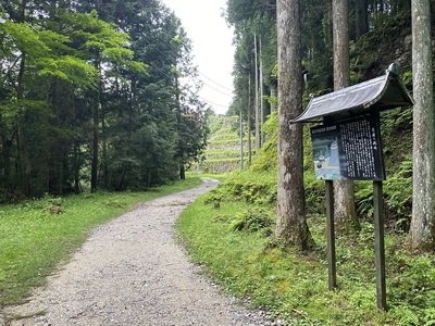 六段壁石垣が見える登城道