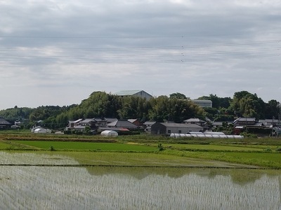 城址遠景