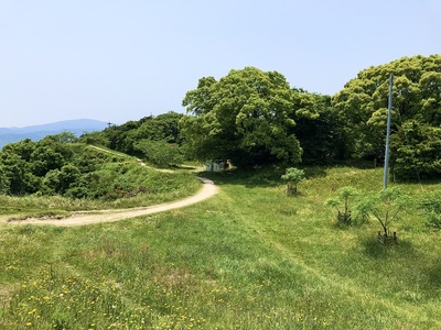 焼米ヶ原の土塁線