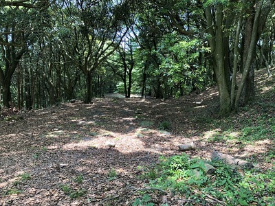 尾花地区礎石跡