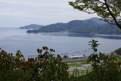 本丸から見る若狭湾