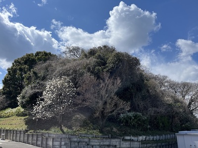 東から見た大高城