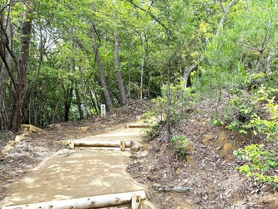 登山道