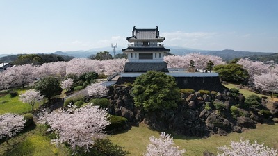 竹崎城展望台と桜