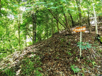 案内板と登城路