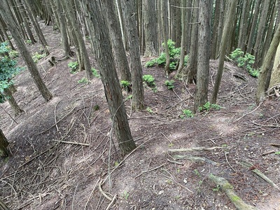 東の城の二重堀切