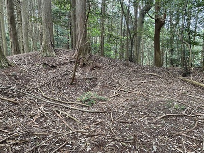 三郭の土塁