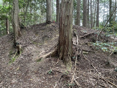 西郭と三郭間の堀切跡