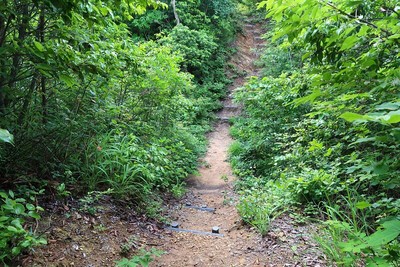 武衛山城 北の堀切①