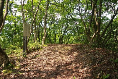 武衛山城 二の砦跡