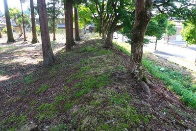 武衛山城 鞍谷御所址 北の土塁と空堀