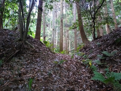 水場虎口