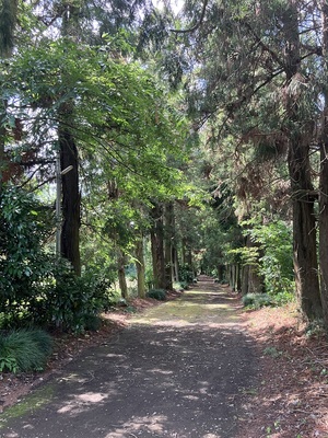 鷲神社参道