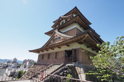 天守斜め下から諏訪の街とともに