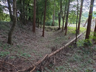 北虎口の西側空堀