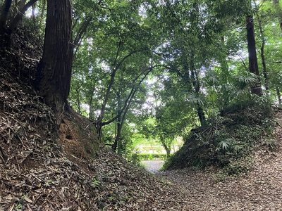 虎口　運動公園側