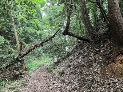 空堀と土塁