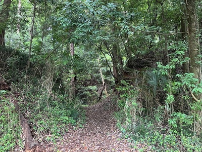 虎口　運動公園から見る