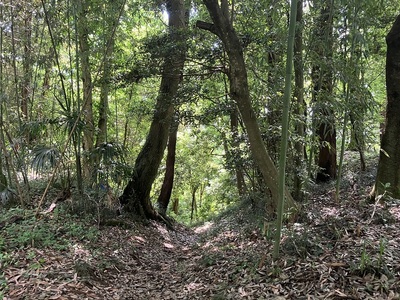 鷲神社近くの虎口