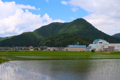 行司ヶ岳城 遠景（東より）