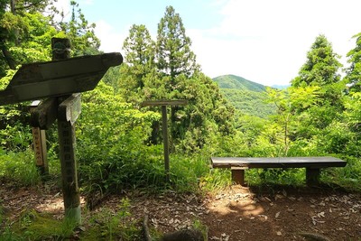 行司ヶ岳城 登山道