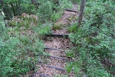 行司ヶ岳城 西の堀切