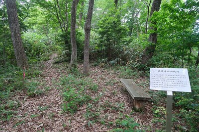 行司ヶ岳城 西尾根先の高源寺山山城