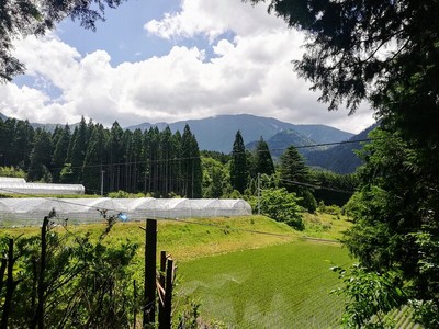 丸山城からの眺望