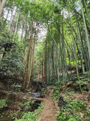 登城道