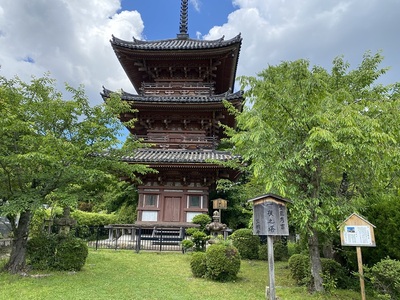 宝積寺・一夜之塔