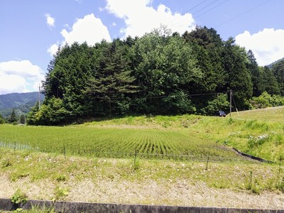 丸山城遠景