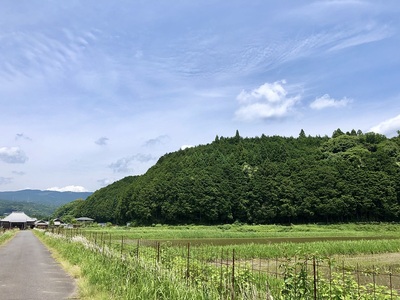 城趾遠景（南から）