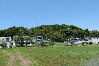 南麗からの城山全景