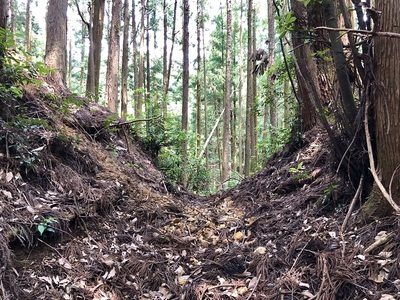 主郭東側小郭の東側の堀切