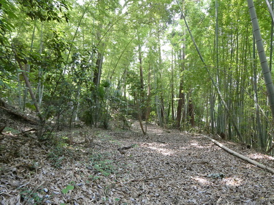 城跡風景