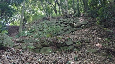 東側尾根筋の石垣