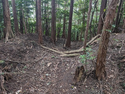 横堀(蔵跡Ⅱ郭西側)