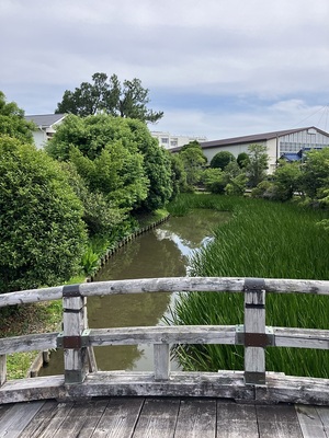 大手ニの門跡と水堀