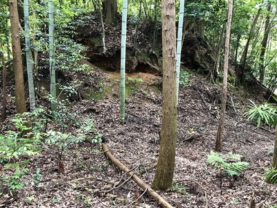 主郭東側虎口の北側土塁