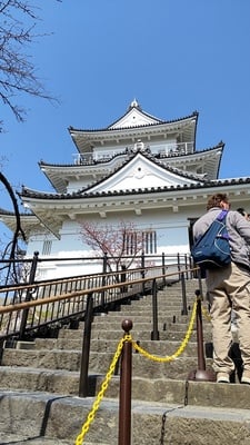 入場待ちの階段から天守を見上げる