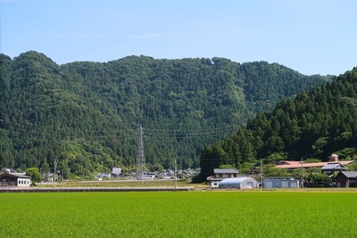 文殊山城 遠景（南より）