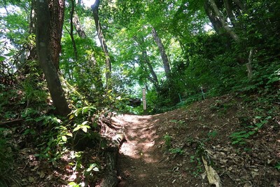 文殊山城 主郭南の堀切