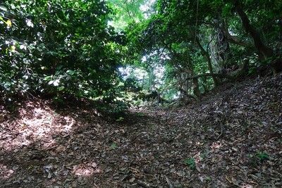 文殊山城 城域西端曲輪（奥の院）堀切