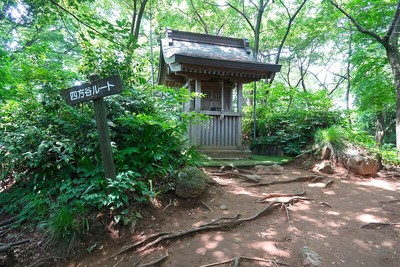 文殊山城 城域西端曲輪（奥の院）風景